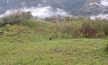 Venta Finca Ganadera Santa Bárbara Antioquia