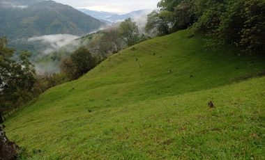 Venta Finca Ganadera Santa Bárbara Antioquia