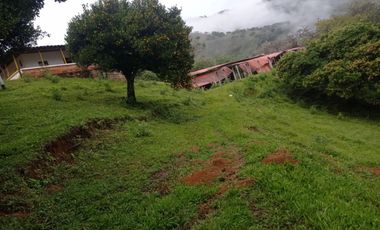 Venta Finca Ganadera Santa Bárbara Antioquia