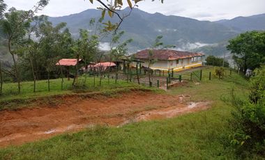 Venta Finca Ganadera Santa Bárbara Antioquia