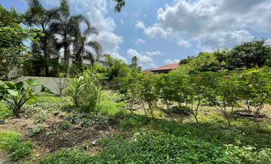 FOR SALE - Residential Vacant Lot in Ayala Alabang Village, Muntinlupa City