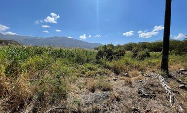 Terreno de Venta en Catamayo, Loja.
