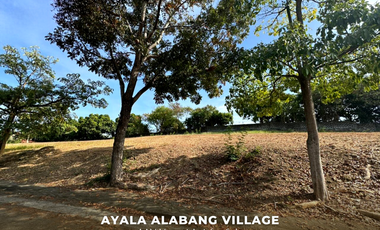 Well Priced Vacant Lot in Ayala Alabang Village Muntinlupa City
