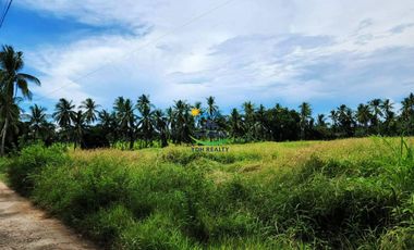 Titled Farm Lot for Sale in Danao City, Cebu
