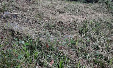 Te vendo este parqueadero  planito o para hacer apartamentos, ya que tiene el permiso en Cisneros.