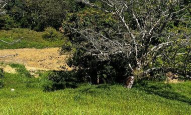 VENTA DE LOTE HACIENDA SAN JOSE L20 , SAN JERONIMO ANTIOQUIA