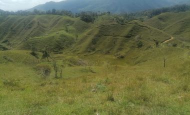 Venta Finca Ganadera Santo Domingo Antioquia