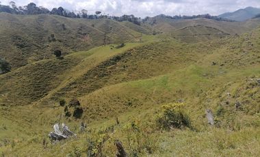 Venta Finca Ganadera Santo Domingo Antioquia