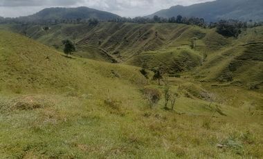 Venta Finca Ganadera Santo Domingo Antioquia