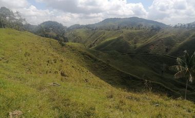 Venta Finca Ganadera Santo Domingo Antioquia