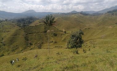 Venta Finca Ganadera Santo Domingo Antioquia