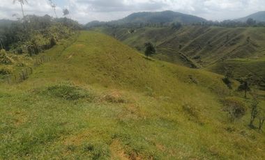 Venta Finca Ganadera Santo Domingo Antioquia