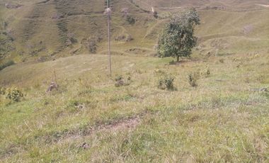 Venta Finca Ganadera Santo Domingo Antioquia