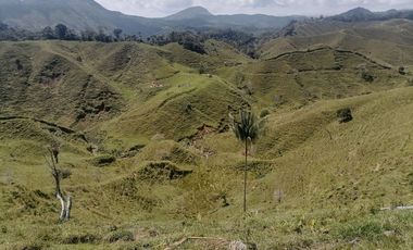 Venta Finca Ganadera Santo Domingo Antioquia