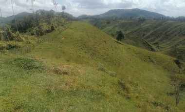 Venta Finca Ganadera Santo Domingo Antioquia