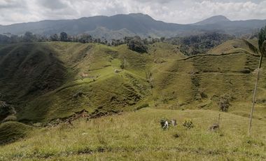 Venta Finca Ganadera Santo Domingo Antioquia