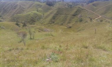 Venta Finca Ganadera Santo Domingo Antioquia