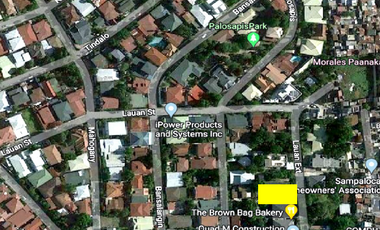529 sqm Lot for Sale in United Hills Village 2, Paranaque City