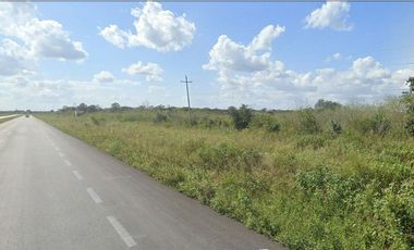 TERRENO DE 8 HECTÁREAS EN CARRETERA MÉRIDA-CANCUN