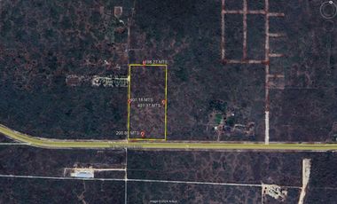 TERRENO DE 8 HECTÁREAS EN CARRETERA MÉRIDA-CANCUN