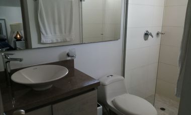 APARTAMENTO AMOBLADO EN ARRIENDO RIO ALTO #10716146