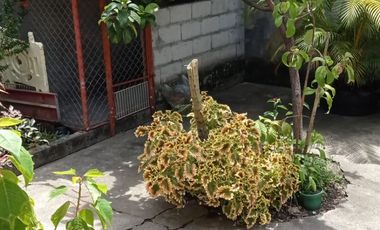 BONITA Y CENTRAL CASA AMPLIA UNIFAMILIAR EN MARIQUITA (TOLIMA) EN VENTA