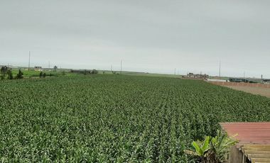 VENDO TERRENO CHANCAY MEGAPUERTO 35000 m2