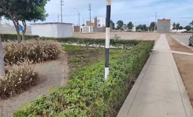 Terreno en Zona Urbanizada de Chilca