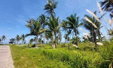 923 sqm Lot For Sale at Siargao Island