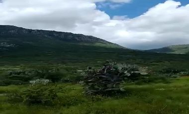 TERRENO EN VENTA EN BERNAL