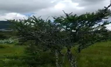 TERRENO EN VENTA EN BERNAL