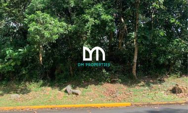 For Sale: Vacant Lots in Fairmount Hills Subdivision, Antipolo City