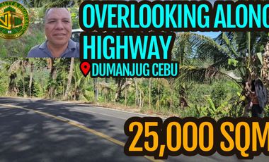 Overlooking Along Highway Lot For Sale In Dumanjug Cebu 25,000 Sqm For Php 3m