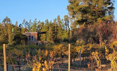 Ofertas!!! fundo de 50.000 m2 con casa de 128 m2.