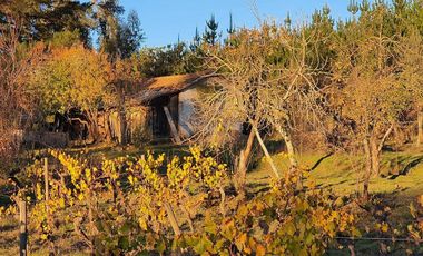 Ofertas!!! fundo de 50.000 m2 con casa de 128 m2.