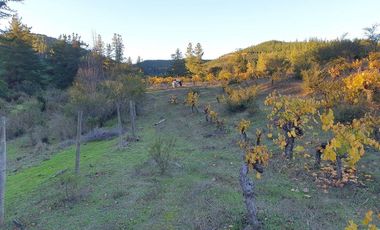 Ofertas!!! fundo de 50.000 m2 con casa de 128 m2.