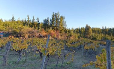 Ofertas!!! fundo de 50.000 m2 con casa de 128 m2.