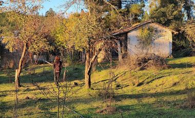 Ofertas!!! fundo de 50.000 m2 con casa de 128 m2.