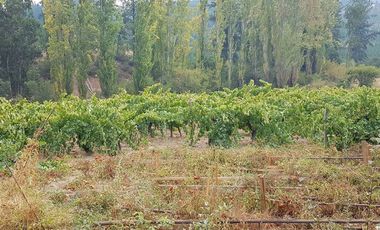 Ofertas!!! fundo de 50.000 m2 con casa de 128 m2.