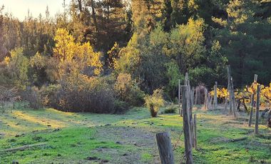 Ofertas!!! fundo de 50.000 m2 con casa de 128 m2.