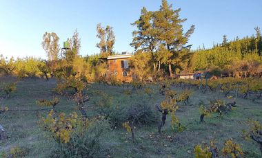 Ofertas!!! fundo de 50.000 m2 con casa de 128 m2.