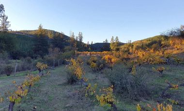 Ofertas!!! fundo de 50.000 m2 con casa de 128 m2.