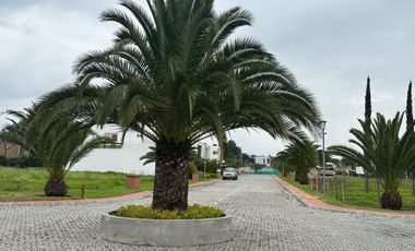 HERMOSO TERRENO GRANDE DE VENTA EN URBANIZACIÓN CERRADA EN COLLAQUÍ TUMBACO!!  VISTA!!