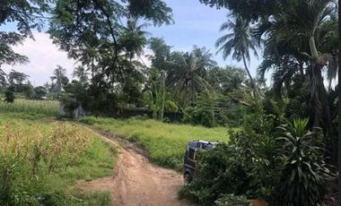 For Sale : Tutled Residential Lot For Sale in Minglanilla