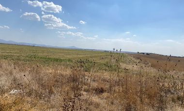 22 Hectáreas En Venta Sobre Carr Villa De Tezontepec Hidalgo Colinda Con Arco Norte