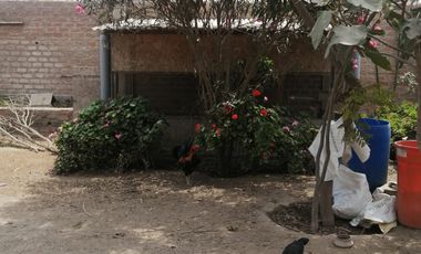 OCASION SE VENDE TERRENO Y 2 CASAS EN EL CENTRO DE LURIN 1,350 M2