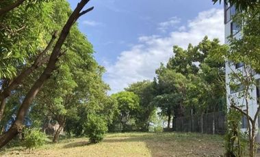For Sale: Commercial Lot in Manoc-manoc, Boracay Malay Aklan, P45.27M