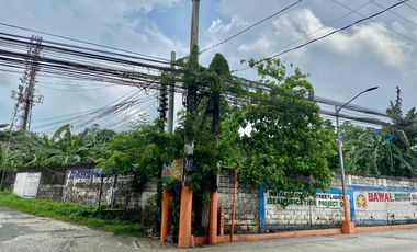 Commercial Corner Lot in Bagombong, Caloocan City