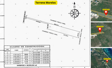 Terreno Morelos.