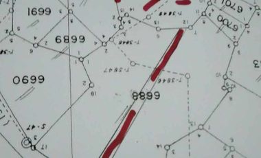 1,000 SQM LOT FOR LEASE IN TOTOLAN, DAUIS I BOHOLANA REALTY